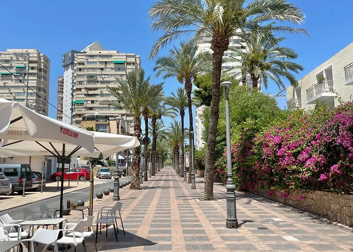 Апартаменты New Square Ibiza Бенидорм